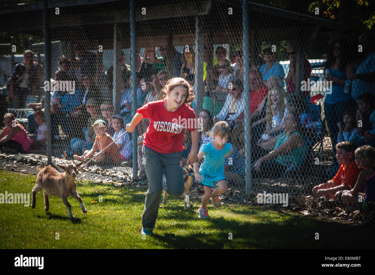 Falmouth, Pennsylvania, USA.  Läuft der Ziegen, jährlich an den Gouverneur Ställe Park, Falmouth, PA Stockfoto