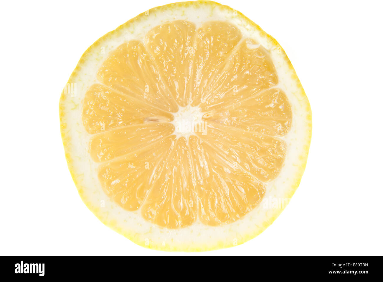 Zitrone (Citrus x Limon) - Reife Frucht auf weißen Hintergrund mit einem kleinen Zweig isoliert Stockfoto