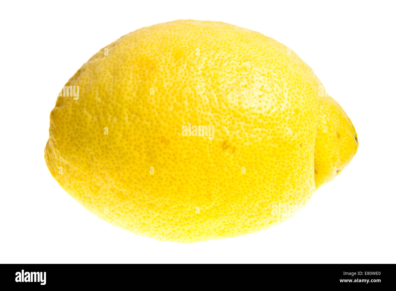 Zitrone (Citrus x Limon) - Reife Frucht auf weißen Hintergrund mit einem kleinen Zweig isoliert Stockfoto