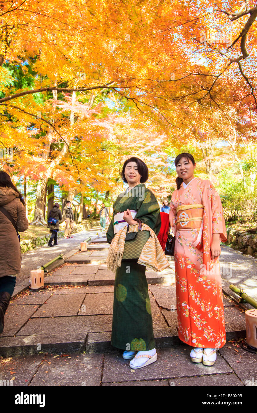 Kyoto, Japan - 30. Juni 2014: Rote Blätter des Ahorns im Herbst, japan Stockfoto