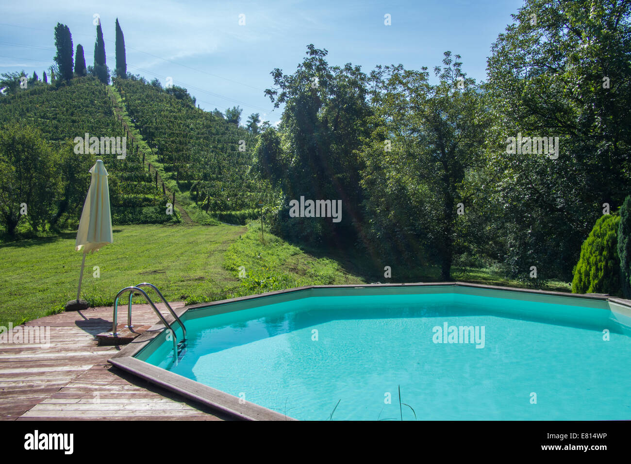 Begründung der Macea Farm (Bio-Weinberg), Borgo ein Mozzano, eine Stadt in der nördlichen Toskana, Provinz Lucca, Italien. Stockfoto