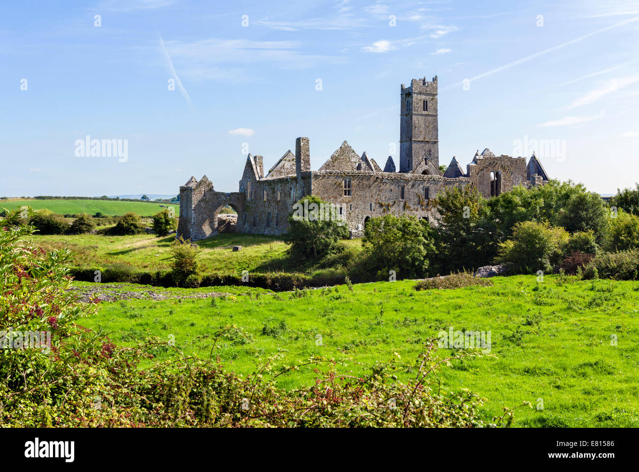 Quin Abtei, in der Nähe von Ennis, County Clare, Republik Irland Stockfoto