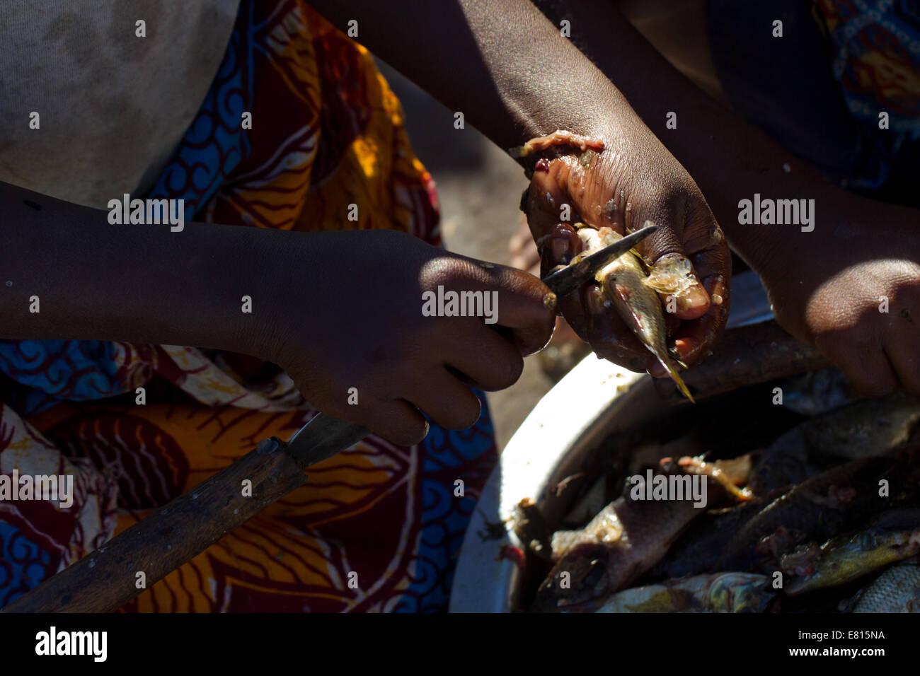 Ein junges Kind Mut ein Fisch in einem Fischerdorf im Bangweulu Feuchtgebiete, Sambia Stockfoto