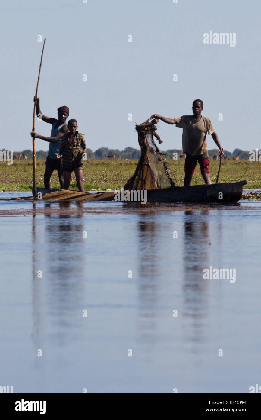 Fischer überprüfen Netze im Bangweulu Feuchtgebiete, Sambia Stockfoto