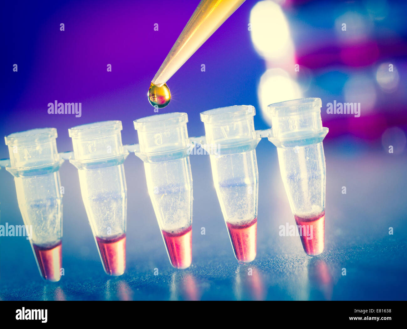 FHC-Forschung im Labor, Reagenzglas und pipette Stockfoto