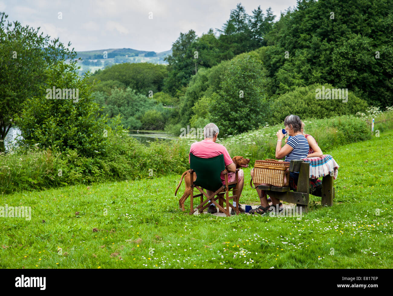 Zwei Mann Frau & ein Hund die Ansichten der englischen Landschaft an einem warmen Sommertag genießen, wie sie auf freiem Feld Picknick Stockfoto