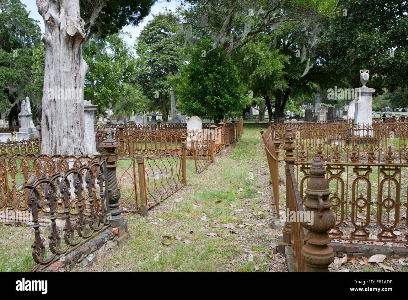 Reihe von Familie Grundstücke in Magnolia Friedhof, Eisenzäune grenzt. Stockfoto