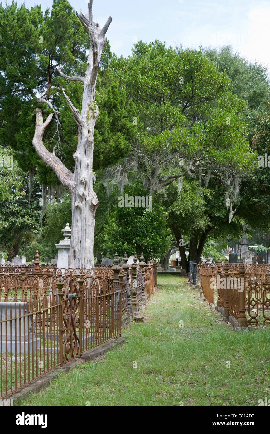 Reihe von Familie Grundstücke in Magnolia Friedhof, Eisenzäune grenzt. Stockfoto