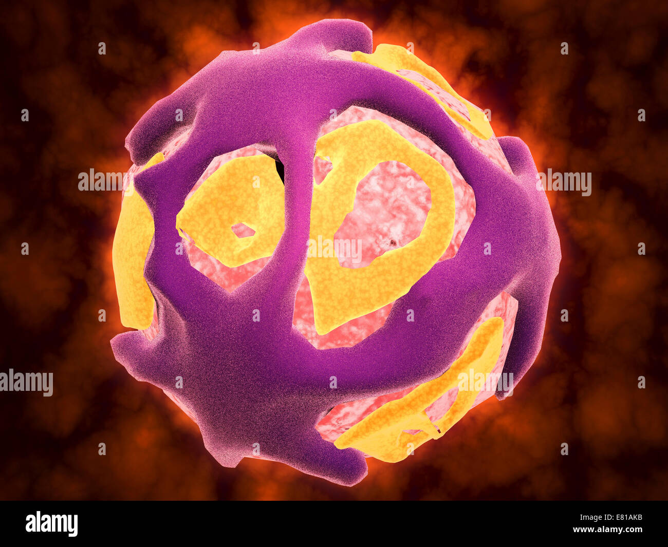 Konzeptbild des DengueVirus. Das DengueVirus ist ein Moskitos