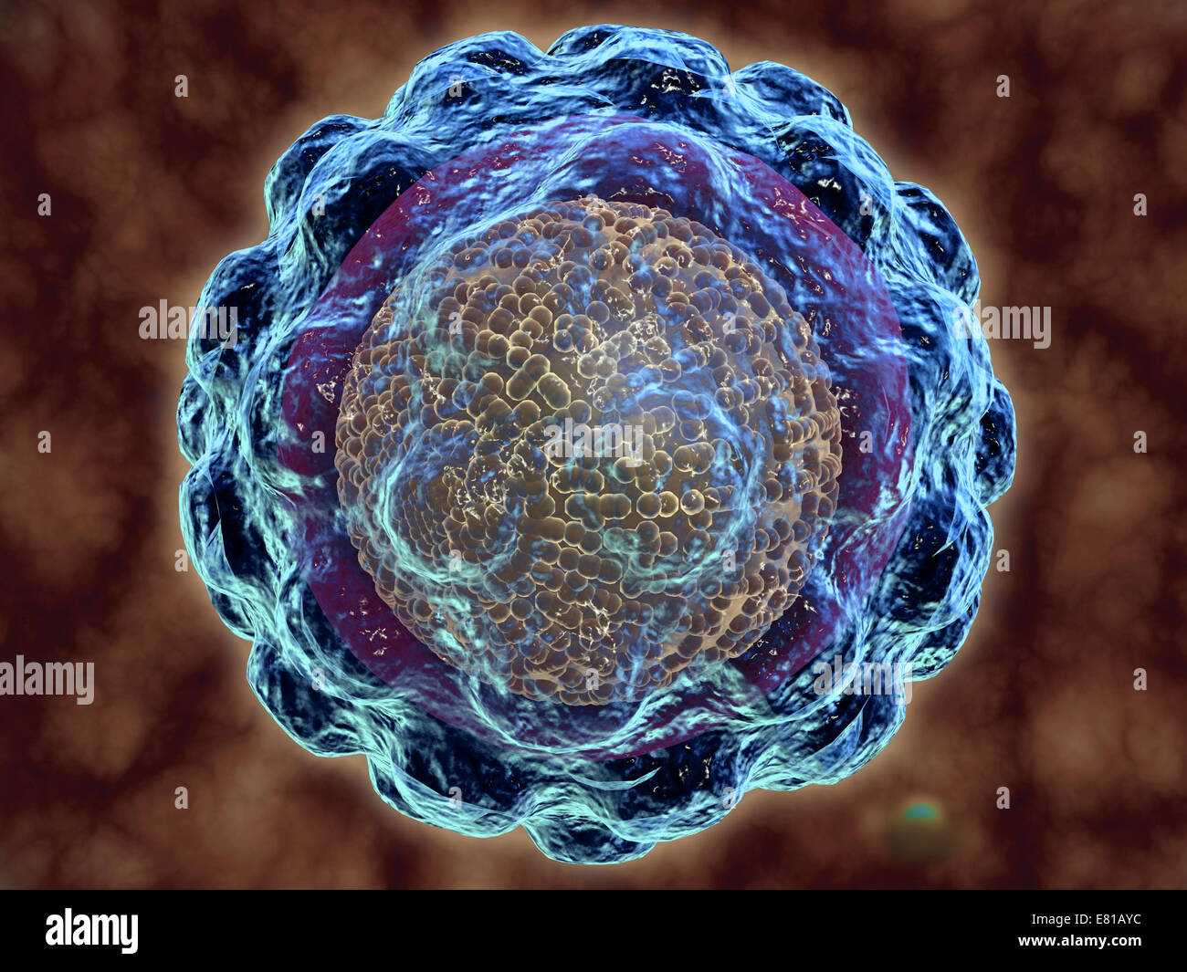 Konzeptbild des Hepatitis-Virus. Viraler Hepatitis ist eine Leberentzündung durch eine virale Infektion. Die häufigsten Ursachen von v Stockfoto