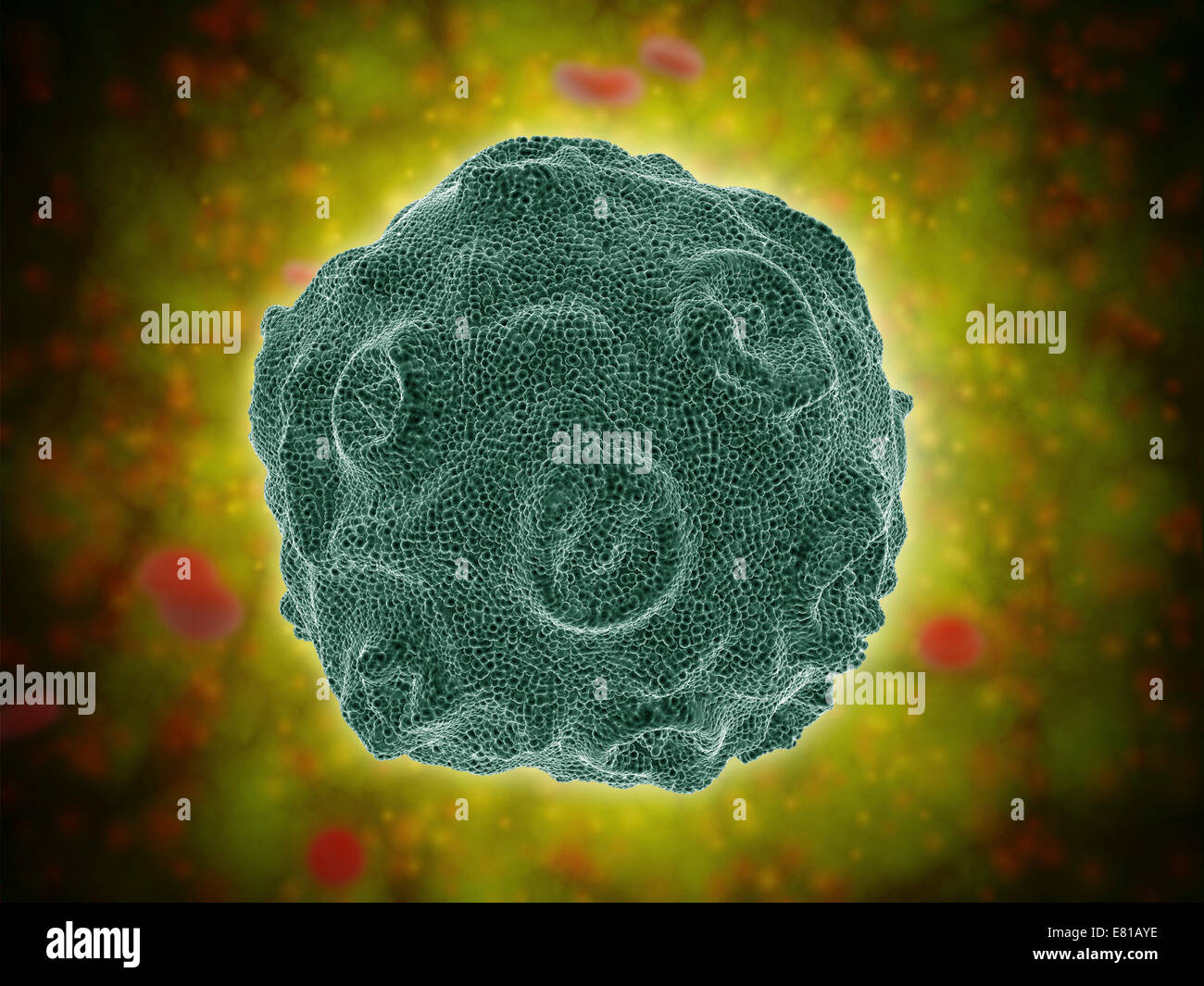 Konzeptbild des Human Papilloma Virus (HPV). HPV ist ein Virus aus der ...