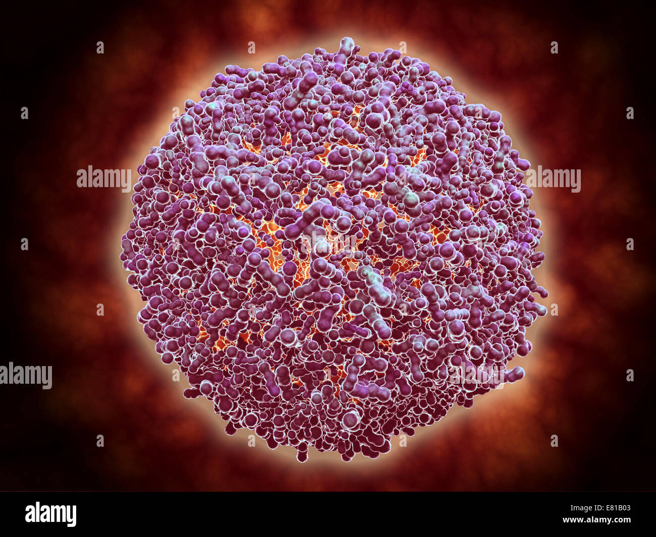 Mikroskopische Ansicht des Sindbis-Virus (SINV). SINV ist ein Moskitos übertragene Virus, das verursacht Hautausschlag und Arthritis, Outbre verursacht hat Stockfoto