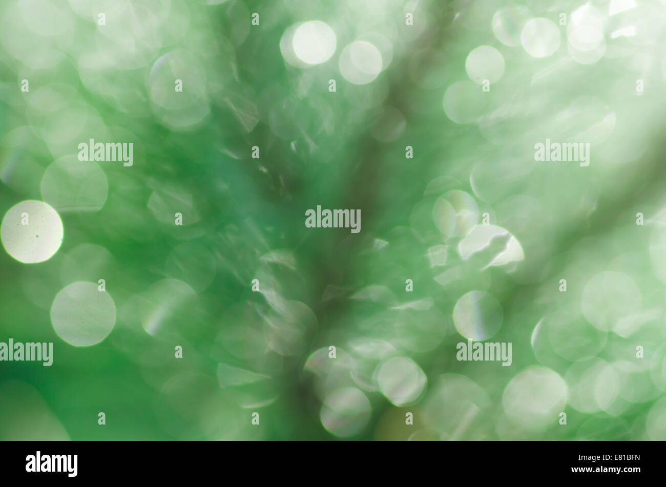 grüne Bokeh unscharf gestellt Wald Hintergrund Stockfoto