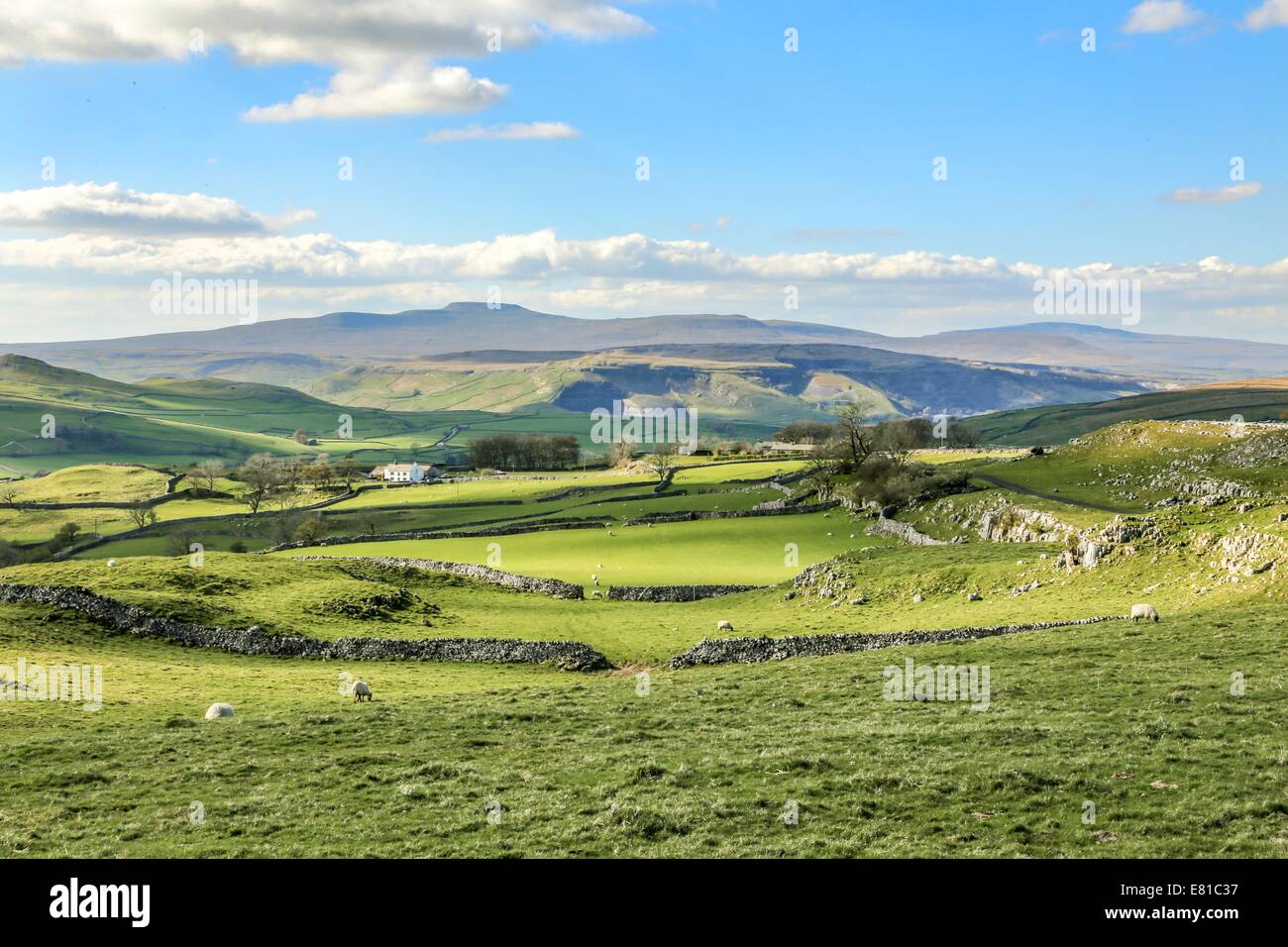 Yorkshire Dales landschaftlich atemberaubende Landschaft England Tourismus Großbritannien grüne Hügellandschaft Stockfoto