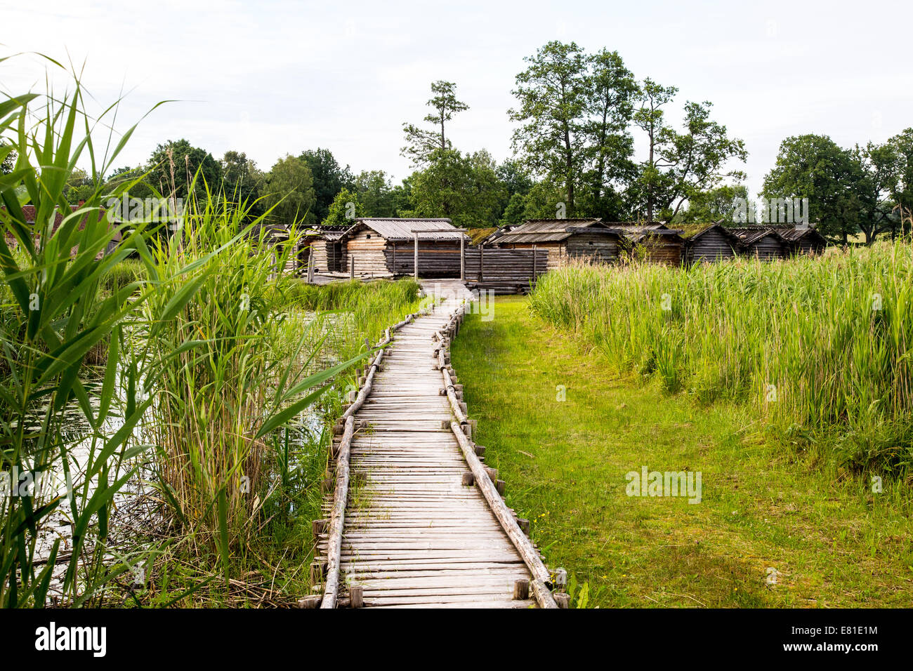 Araisi See Foretress, antike Siedlung in Araisi Muesum Park, Lettland Stockfoto