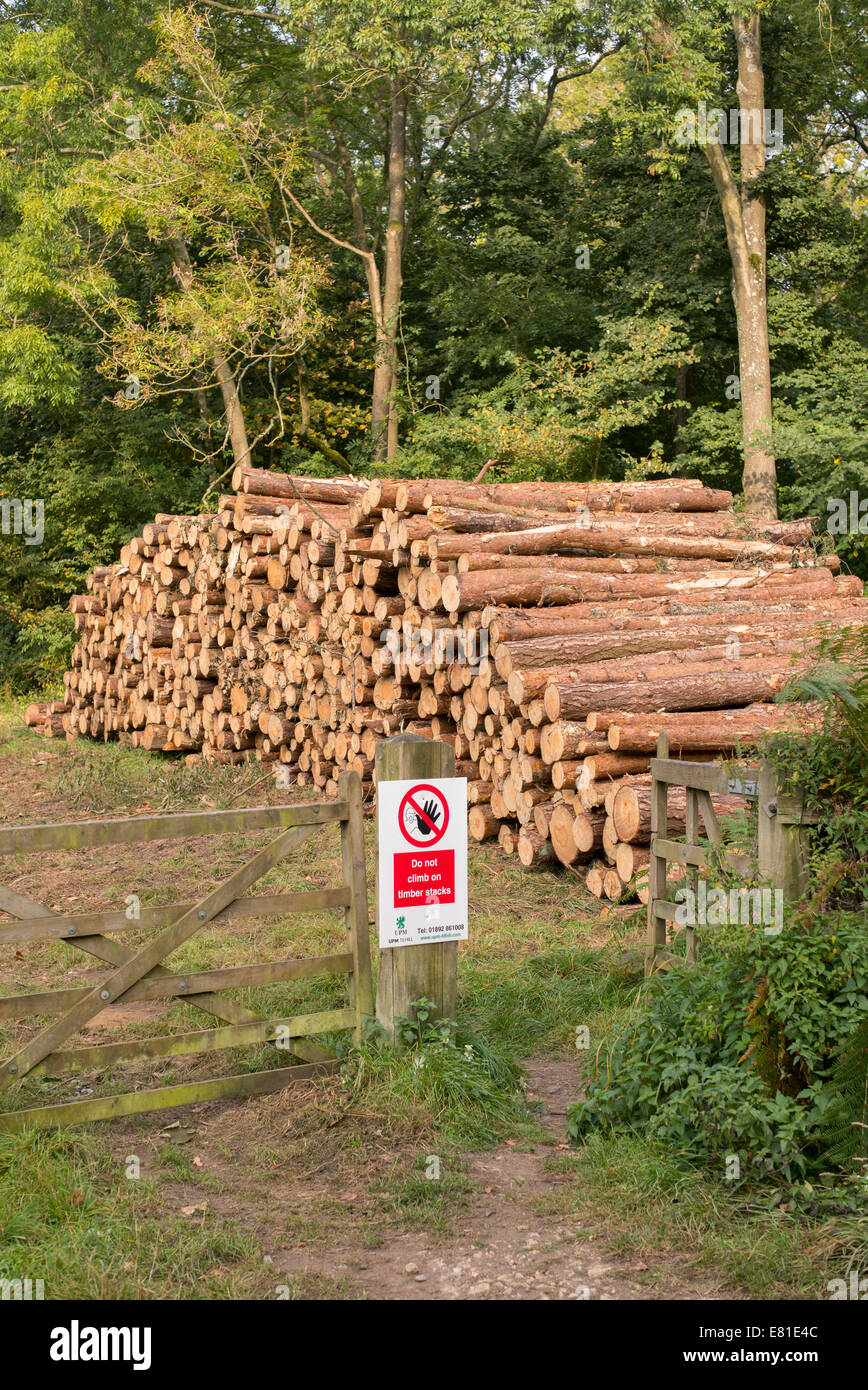 Gesundheit und Sicherheit 'nicht auf das Holz stapeln Klettern' Zeichen vor der abgeschnittene Bäume in einem Wald. UK Stockfoto