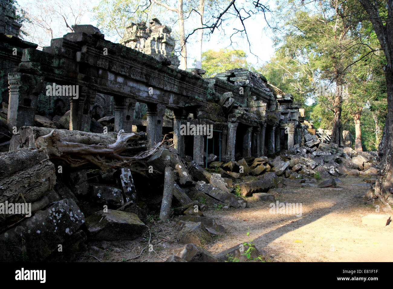 Ruinen von Ta Prohm Tempel, Angkor Wat, Kambodscha Stockfoto