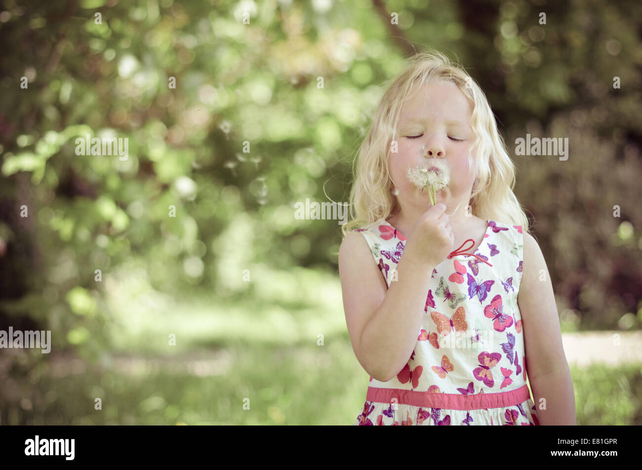 Fünf Jahre altes Mädchen bläst die Samen von einem Löwenzahn im Sommer Stockfoto