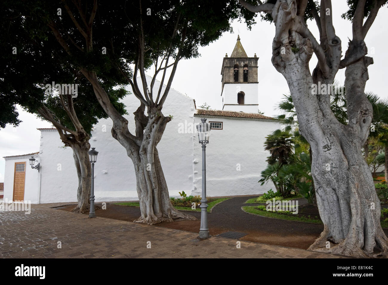 Icod de Los Vinos, Teneriffa, Kanarische Inseln, Spanien Stockfoto