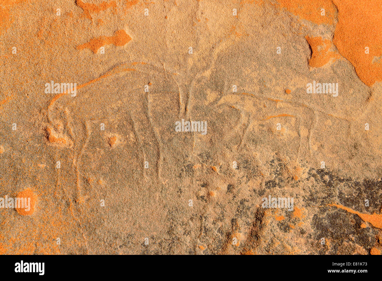 Rock-Gravur eine Gazelle von einer neolithischen Felszeichnungen, Tadrart Region, Tassili n ' Ajjer National Park angegriffen Stockfoto