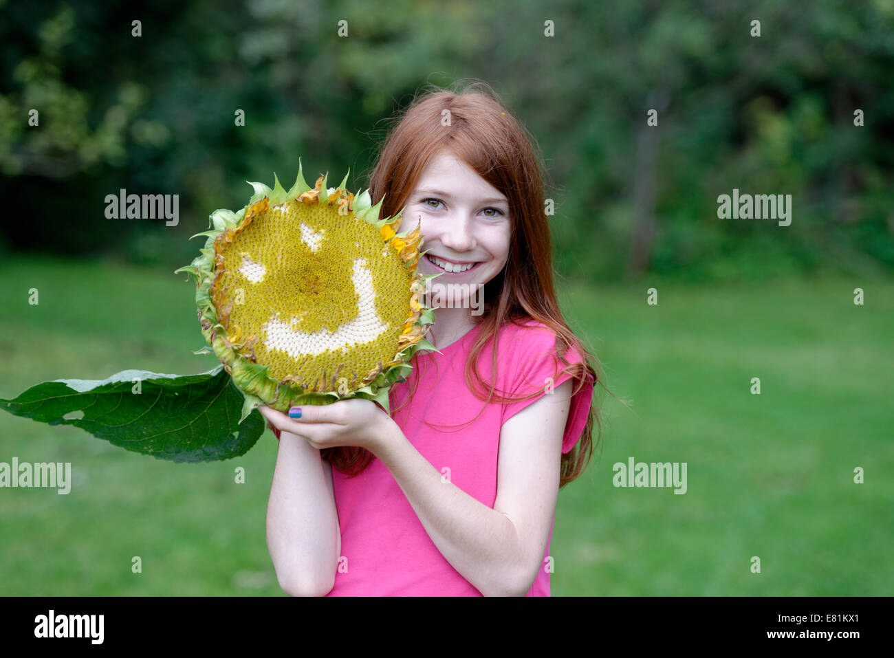 Mädchen hält eine Sonnenblume (Helianthus Annuus) mit einem lächelnden Gesicht Stockfoto