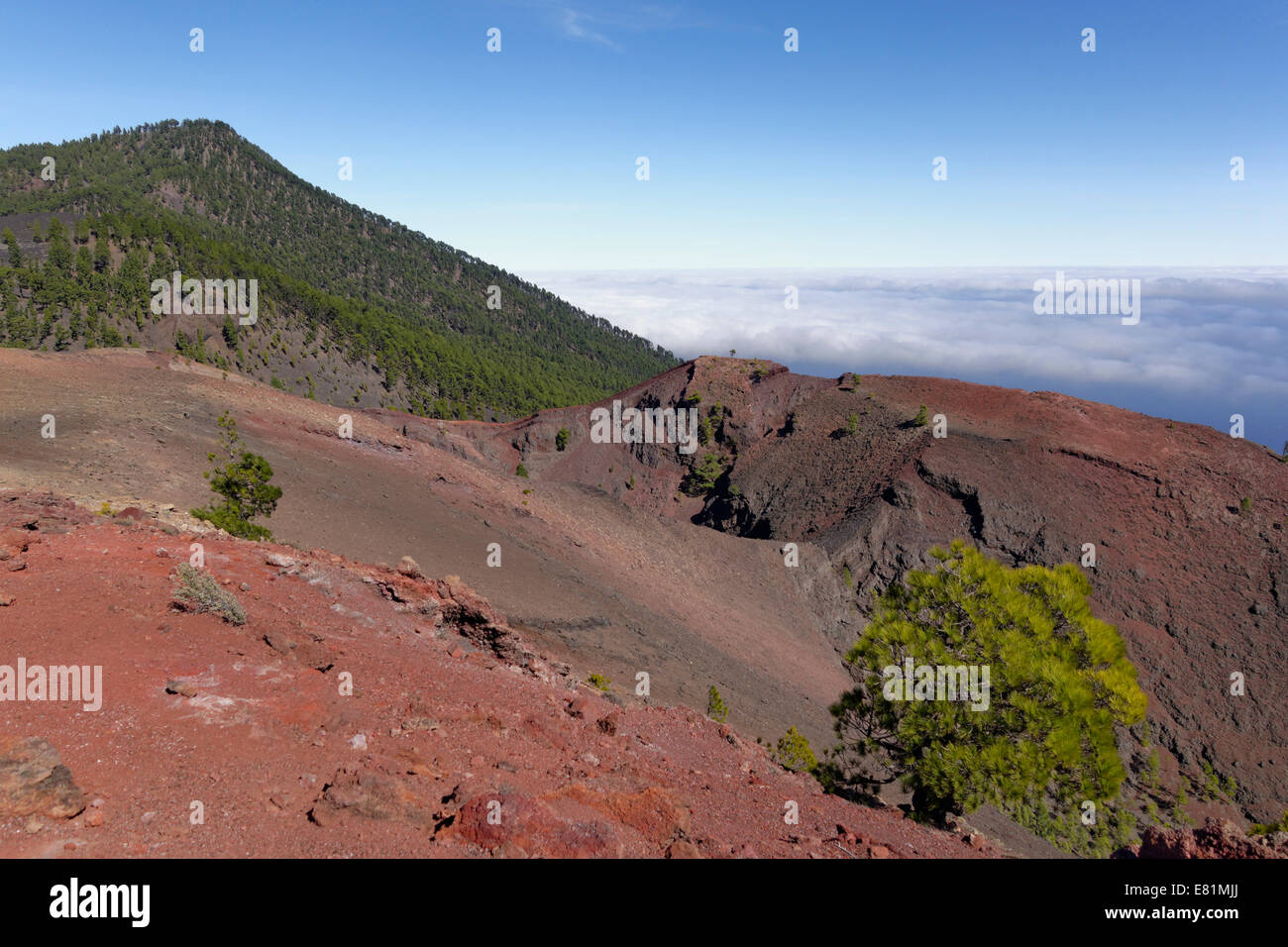 Krater des Vulkans San Martín, Cumbre Vieja in Fuencaliente, La Palma, Kanarische Inseln, Spanien Stockfoto