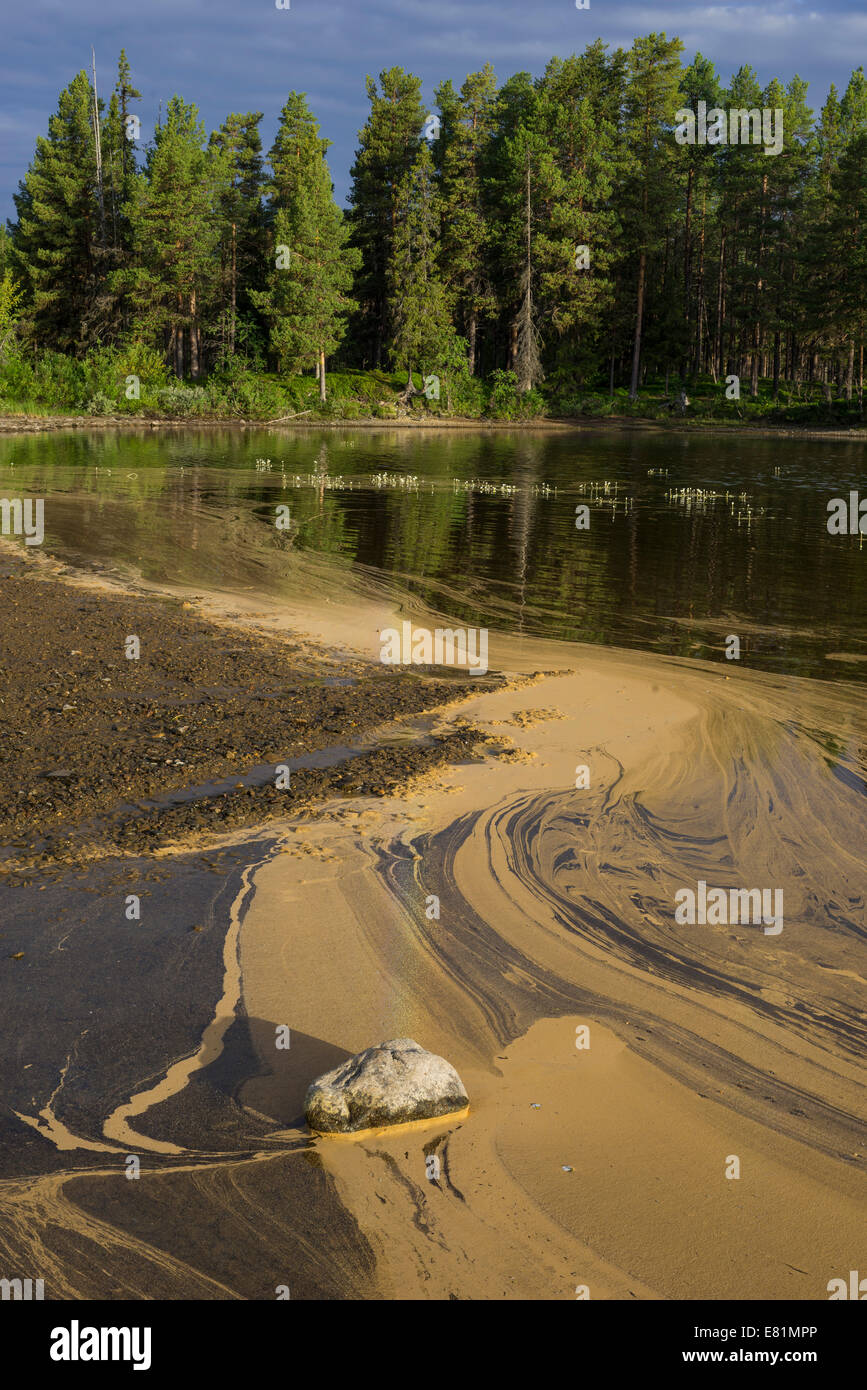 Pollen Muster in den Saggat-See in der Nähe von der Insel Årrenjarka, Kvikkjokk, Norrbotten Grafschaft, Schweden Stockfoto