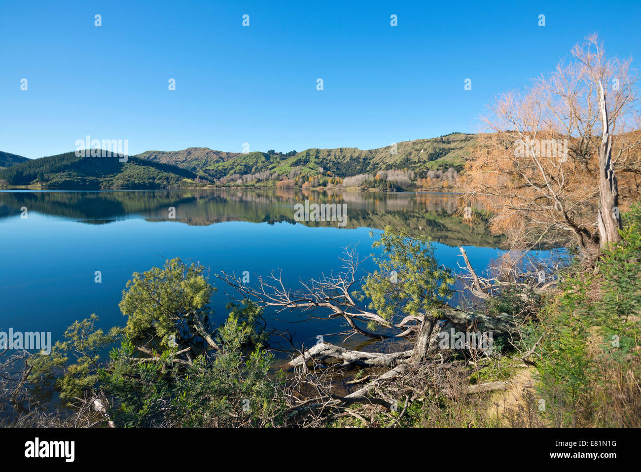Horowhenua See, in der Nähe von Levin, Region Manawatu-Wanganui, Nordinsel, Neuseeland Stockfoto