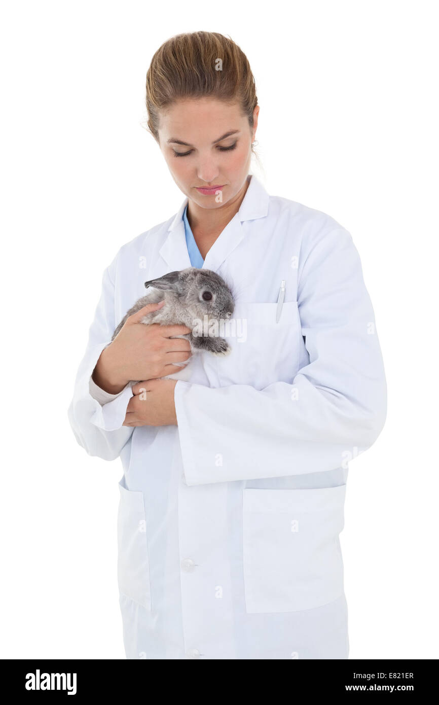 Tierarzt hält eine niedliche Hase Stockfoto
