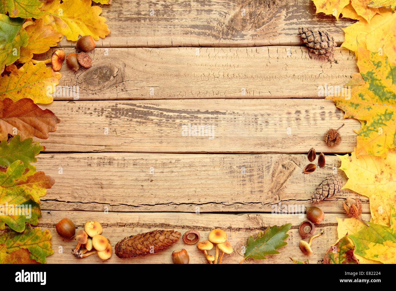 Herbst Hintergrund mit Farbe Blätter auf Holzbrett Stockfoto