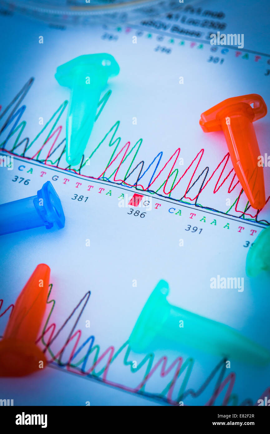 Eppendorf-Röhrchen auf Grafiken zeigen die Ergebnisse der Sequenzierung der DNA (Desoxyribonukleinsäure). Stockfoto