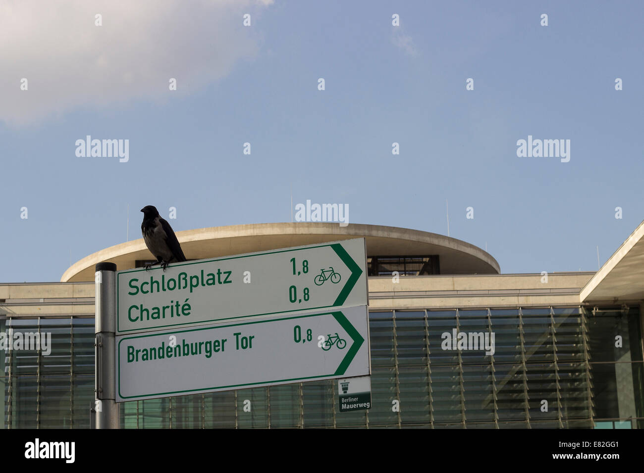 Deutschland, Berlin, Vogel auf Wegweiser Stockfoto