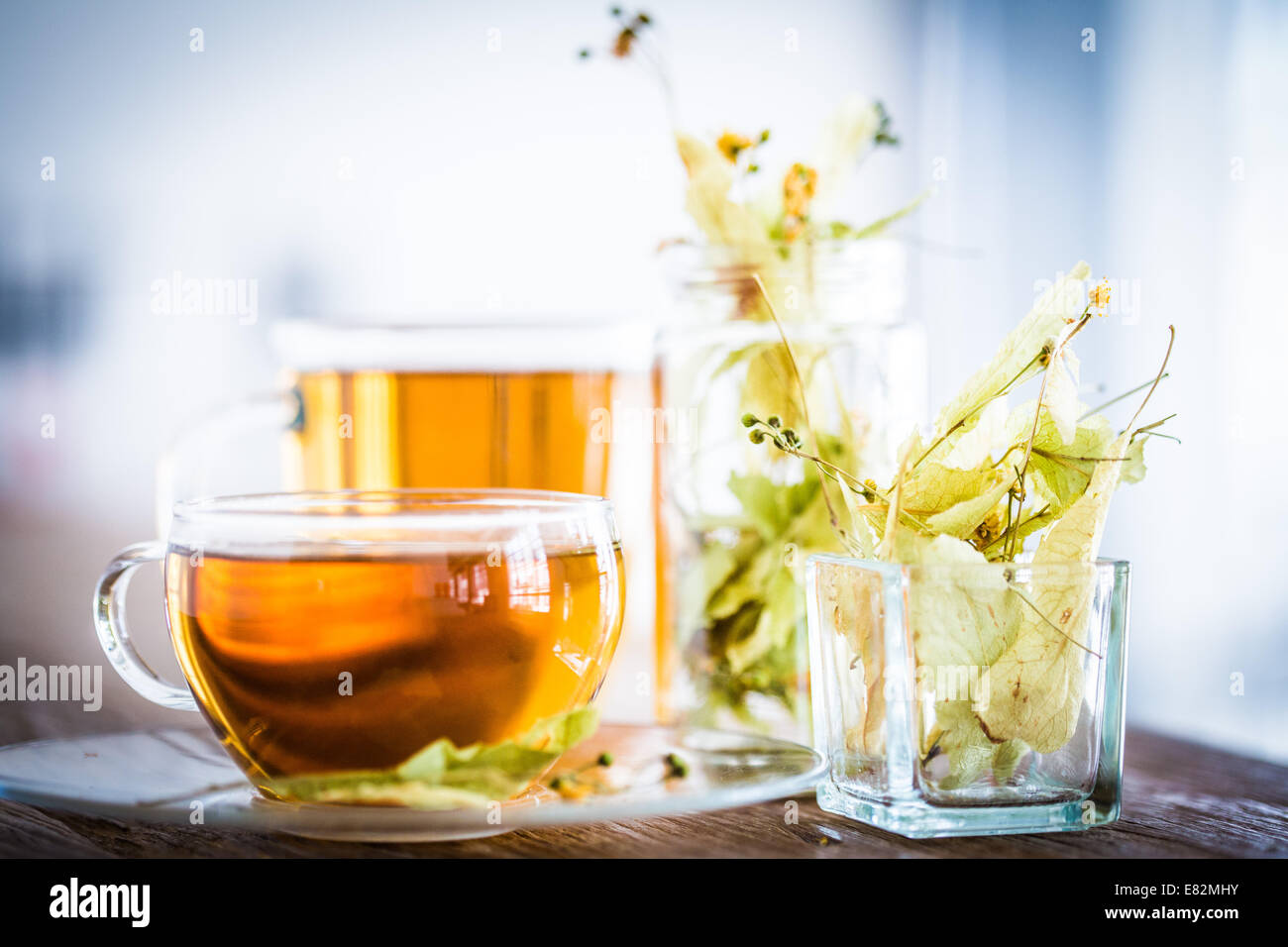 Linden-Kräuter-Tee. Stockfoto