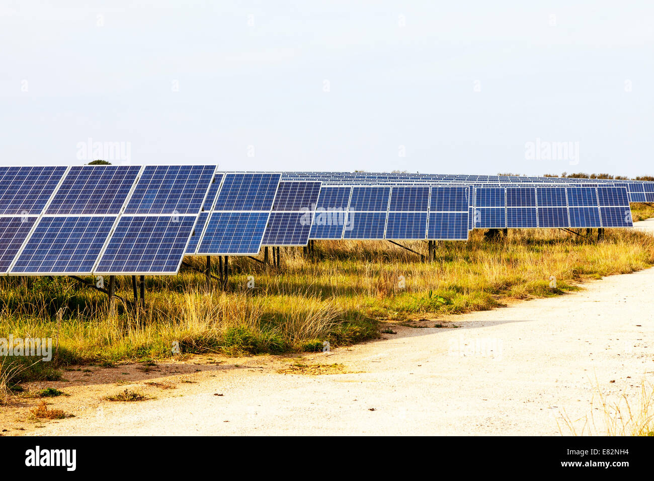 Solar Panel Panels Bauernhof Feld voll Hayle Cornwall Cornwall elektrische Stromgeneratoren, Photovoltaik, Solar Park, Photovoltaikanlage Stockfoto