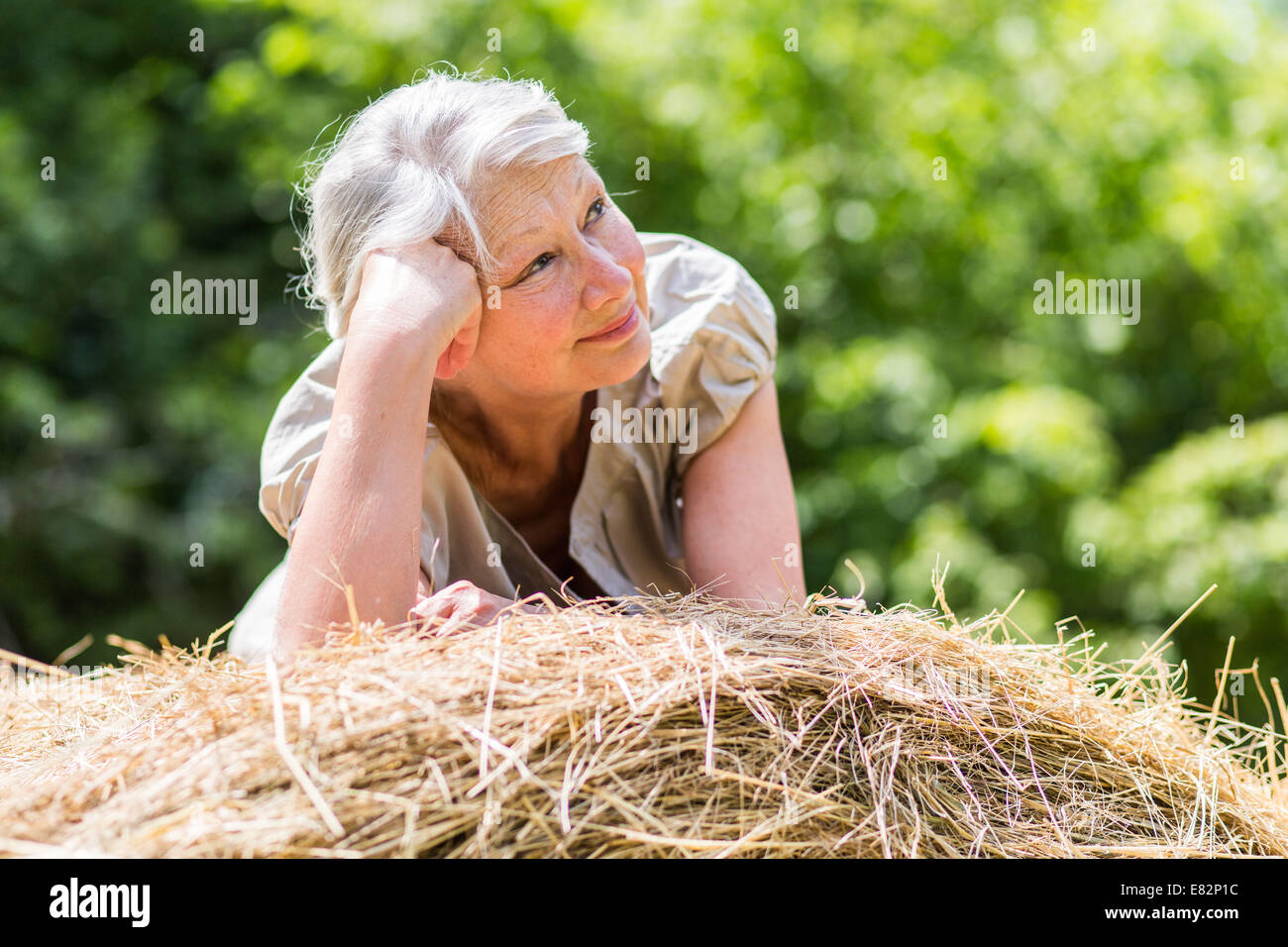Frau in einem Feld. Stockfoto