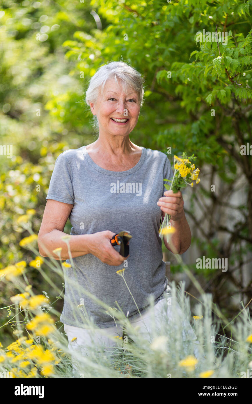 Frau Blumen pflücken. Stockfoto