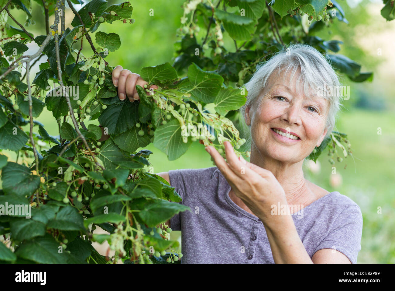 Frau und Kalk. Stockfoto