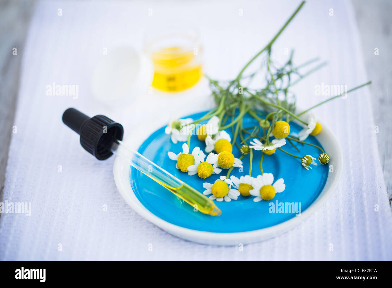 Ätherisches Öl der Kamille. Stockfoto