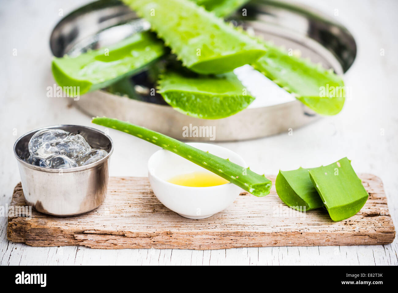 Aloe Vera Blätter. Stockfoto