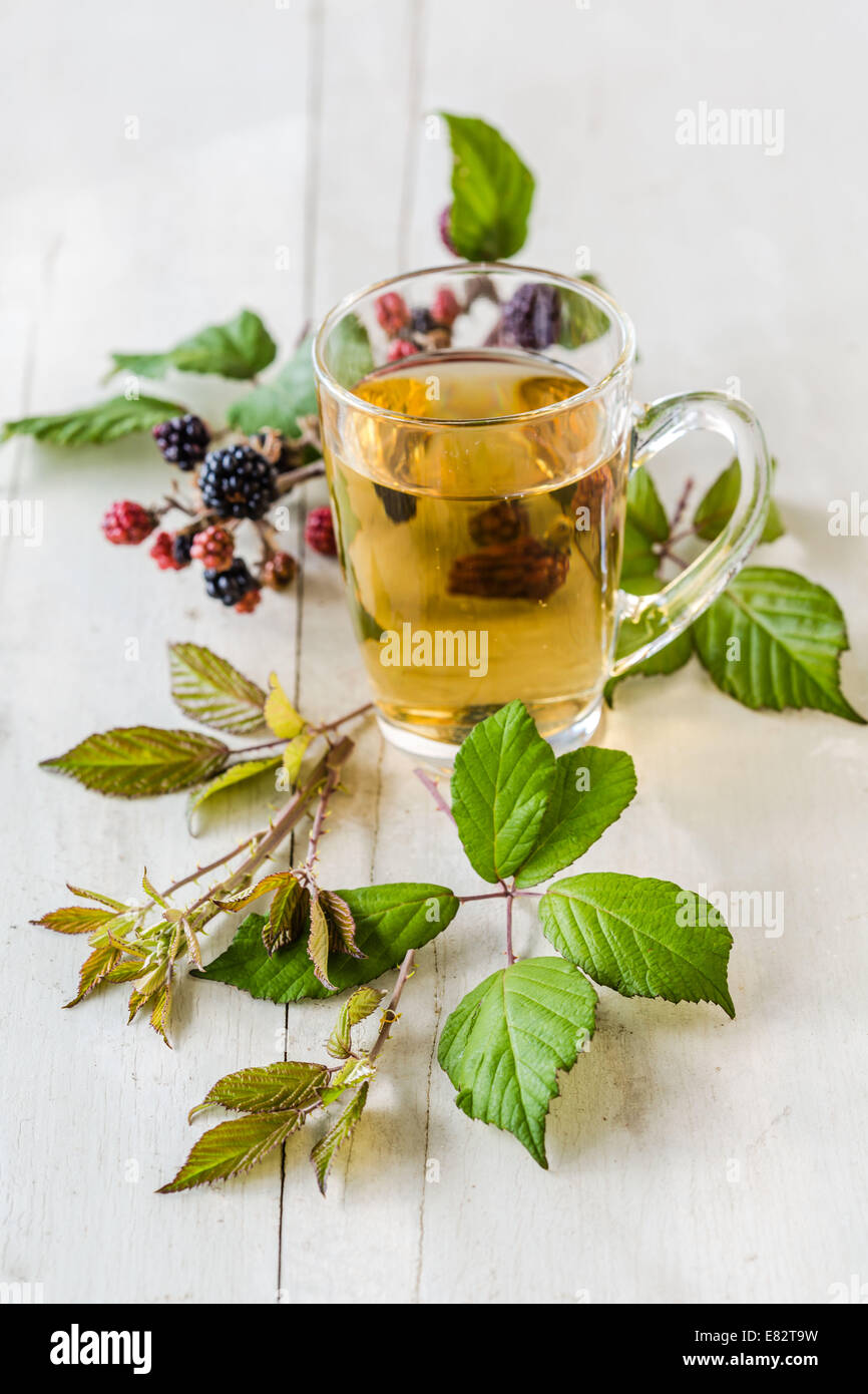 Sträucher-Kräuter-Tee Blätter. Stockfoto