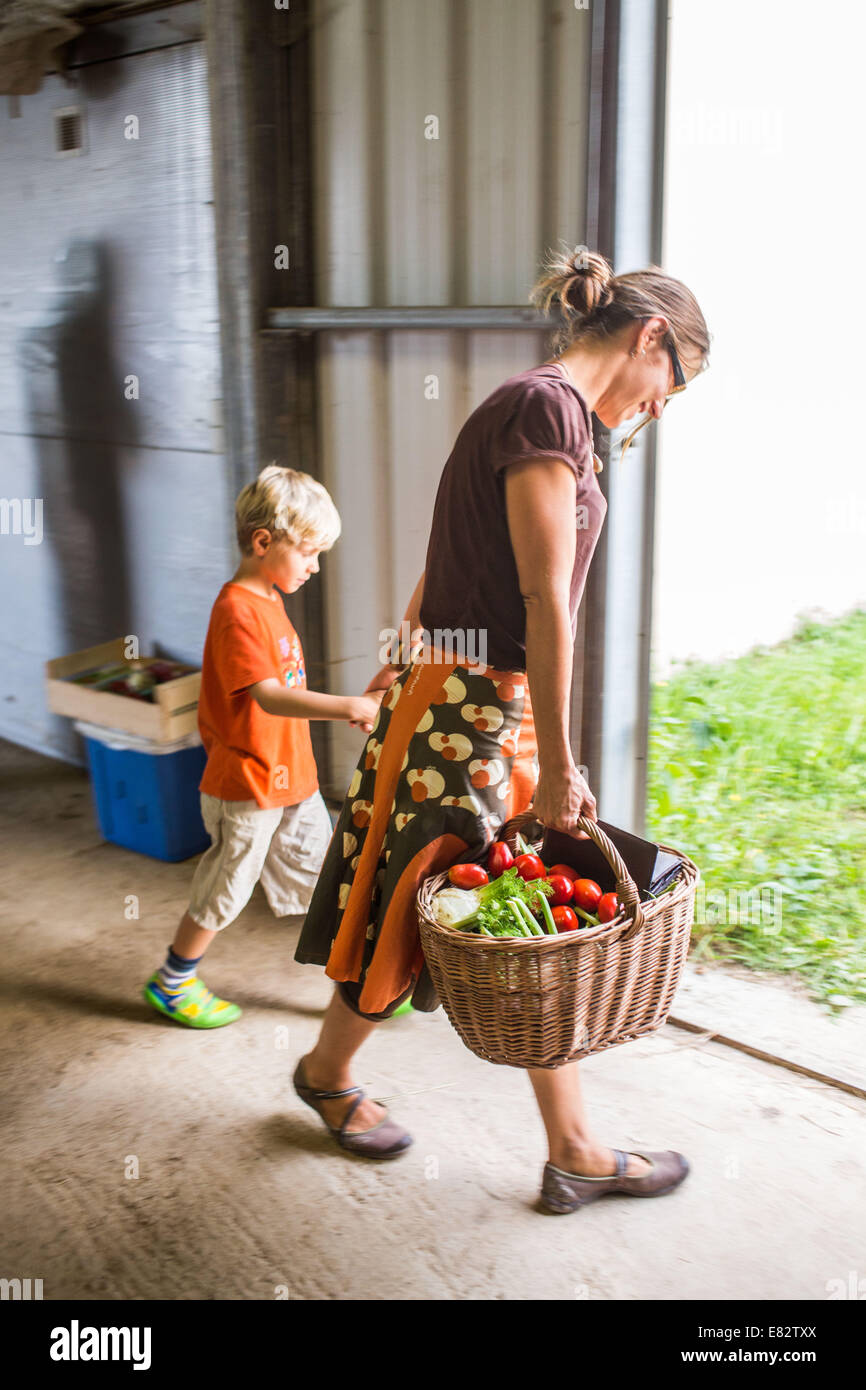 Verkauf von Bio-Gemüse auf dem Bauernhof, Charente, Frankreich. Stockfoto