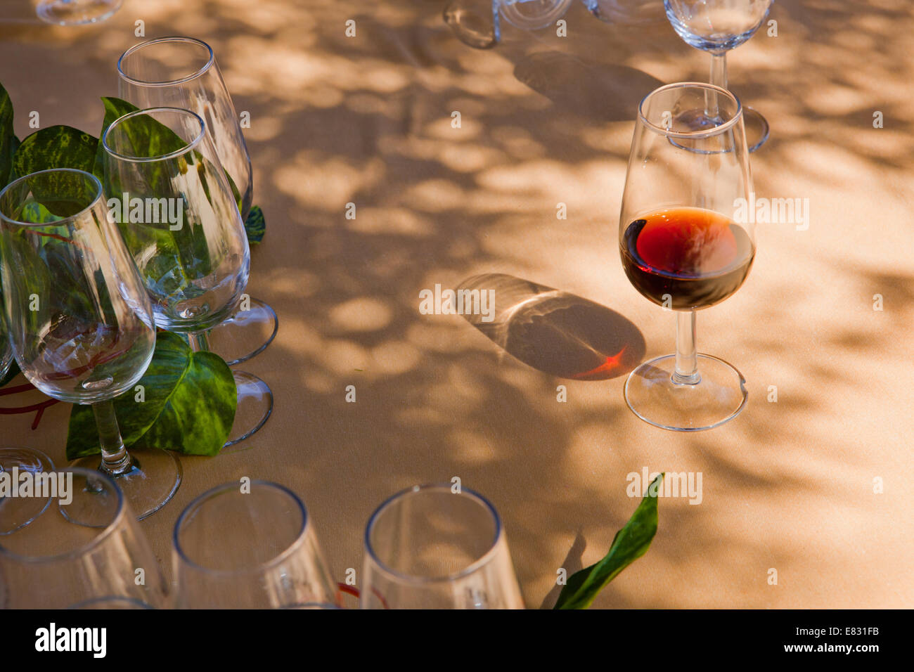 Glas Sherry auf einem Holztisch mit anderen leeren Tassen und pflanzliche Dekoration Stockfoto