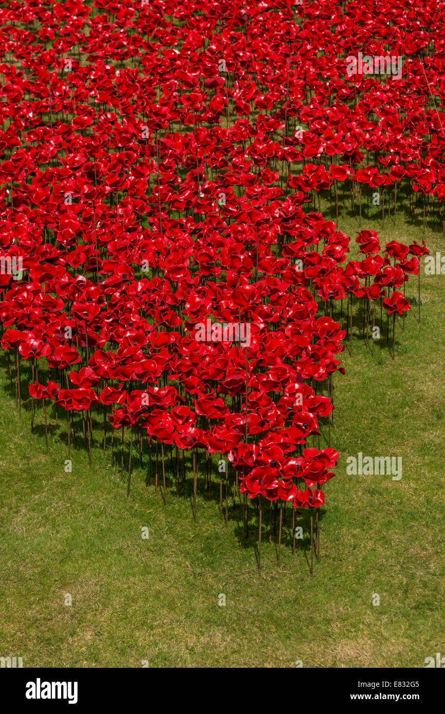 Blut Mehrfrequenzdarstellung Länder und Meere Rot - eine Nahaufnahme von der Installation der Keramik Mohnblumen in den Tower of London Stockfoto