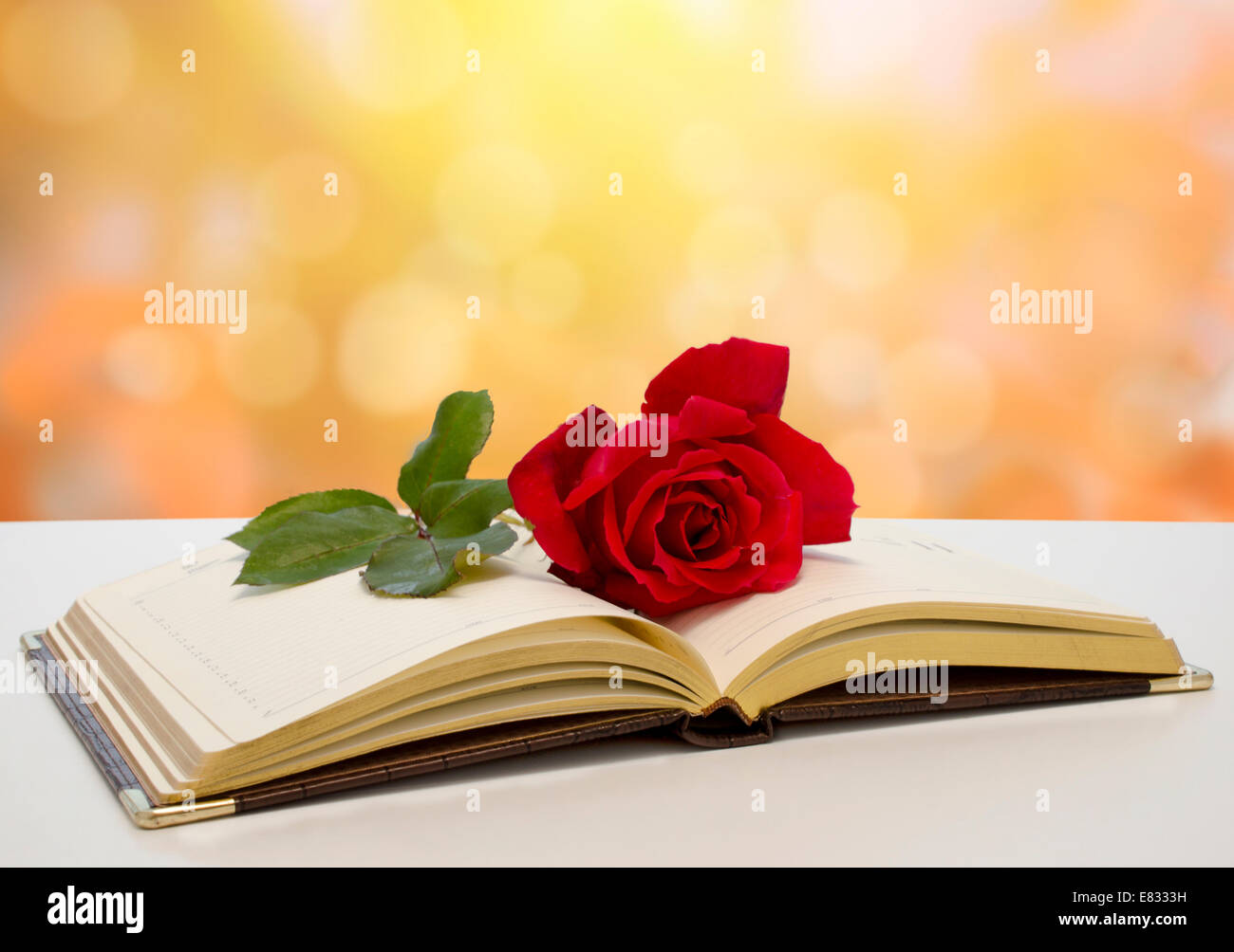 Wöchentlich von Kunstleder und rote Rose sind auf Herbst Hintergrund Stockfoto