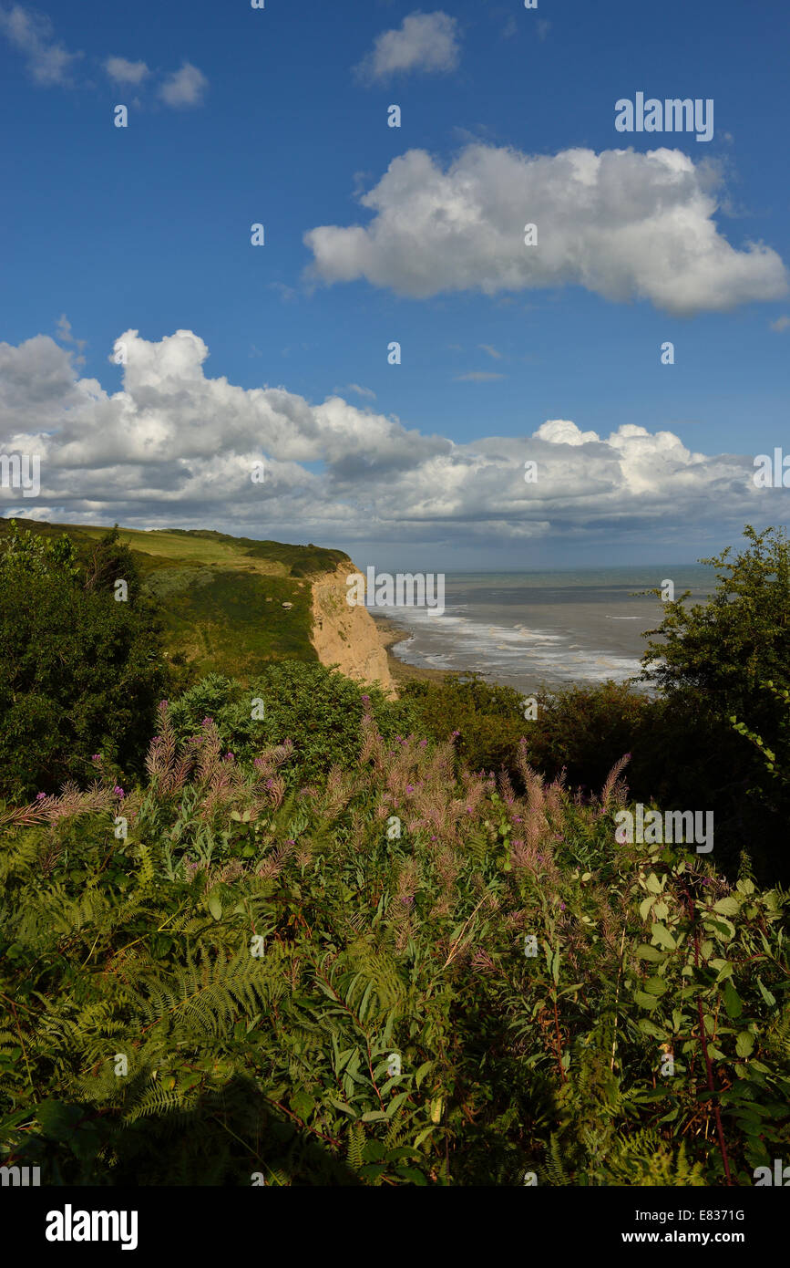 Ecclesbourne Glen Hastings Country Park Stockfoto