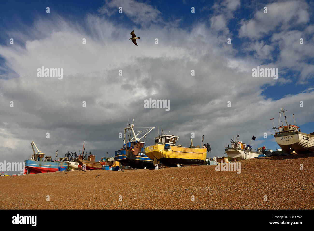 Angelboote/Fischerboote. Stade-Strand. Hastings Stockfoto