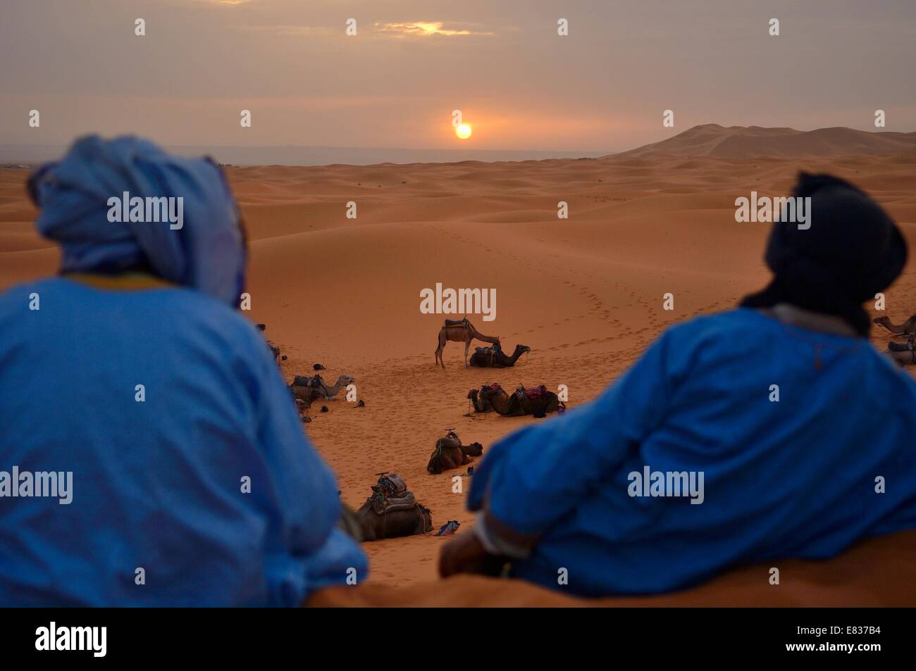 Berber Männer beobachten, Sonnenaufgang, Erg Chebbi, Sahara, Merzouga, Marokko Stockfoto