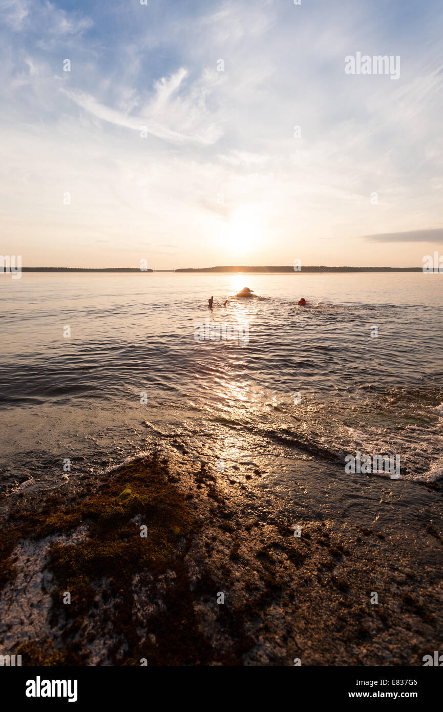 Kinder, die Schwimmen im warmen Wasser mitten im Sommer Nacht, See Paijanne, Finnland Stockfoto