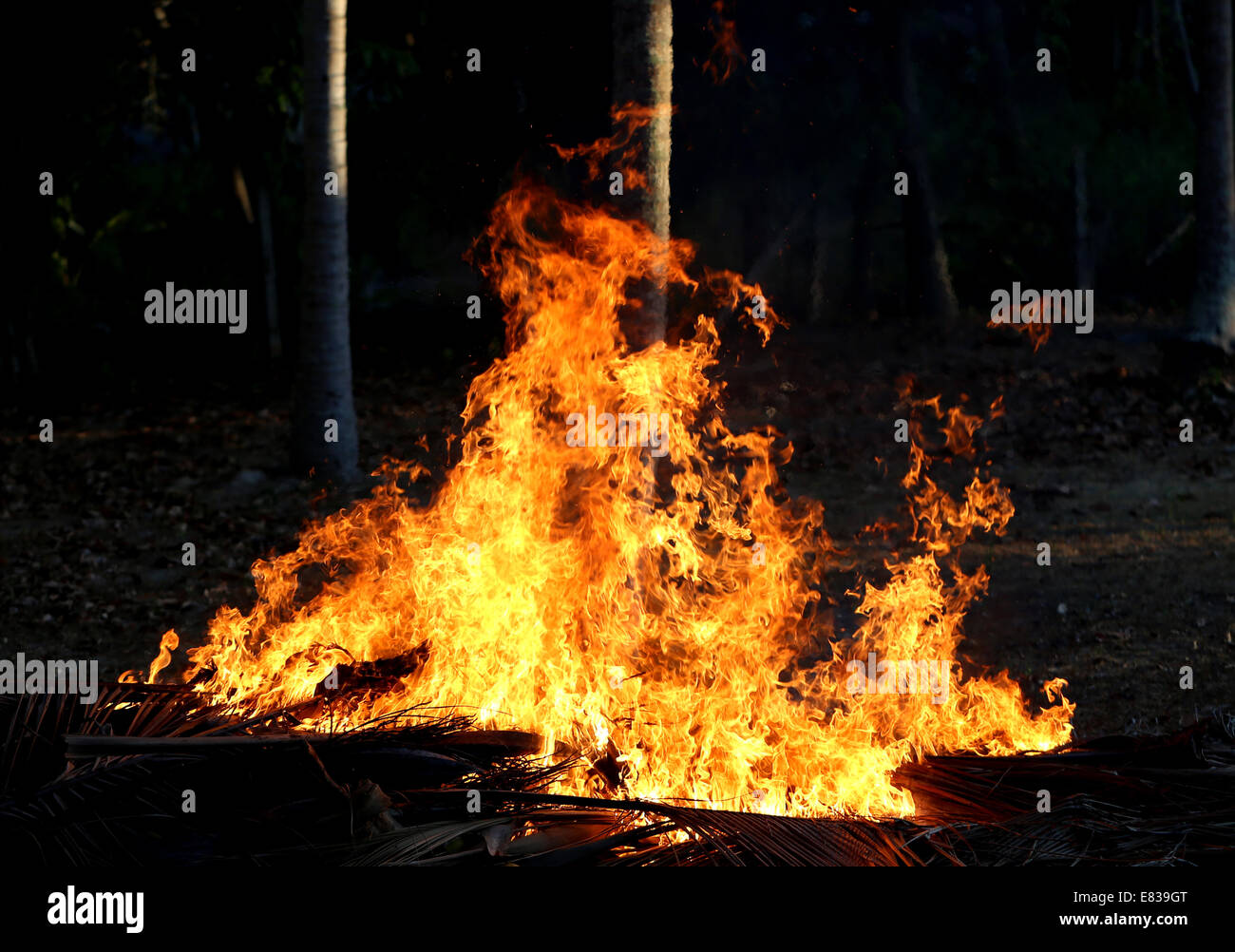 helles großes Feuer Stockfoto