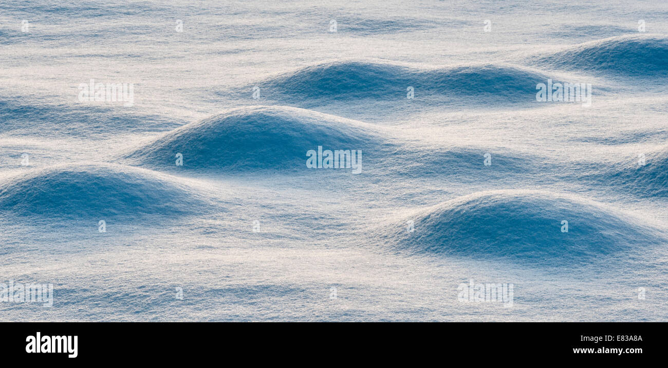 Schneebedeckte Maulwürfe auf einem Feld, im Winter, Großbritannien Stockfoto